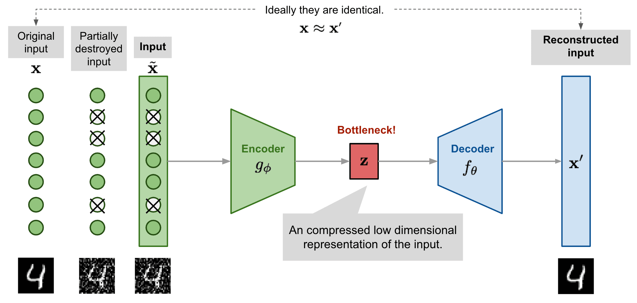 An example of an autoencoder architecture with a decoder